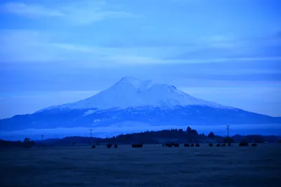 DSC_0948 (Large).JPG